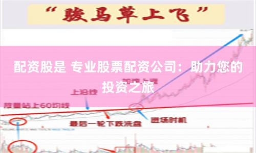 配资股是 专业股票配资公司：助力您的投资之旅