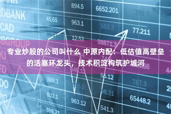 专业炒股的公司叫什么 中原内配：低估值高壁垒的活塞环龙头，技术积淀构筑护城河